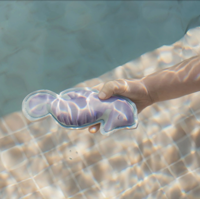 Compagnons de plongée | Dreamy Mermaid