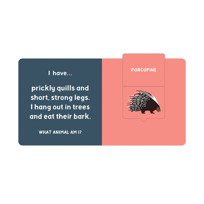 Left page of Forest Tracks lift the flap book showing a navy panel with white text I have prickly quills and short, strong legs I hang out in trees and eat their bark and a pink flap with a porcupine illustration