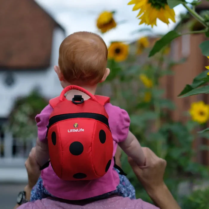 Toddler wearing a Littlelife Ladybird backback whilst sitting on an adults shoulders