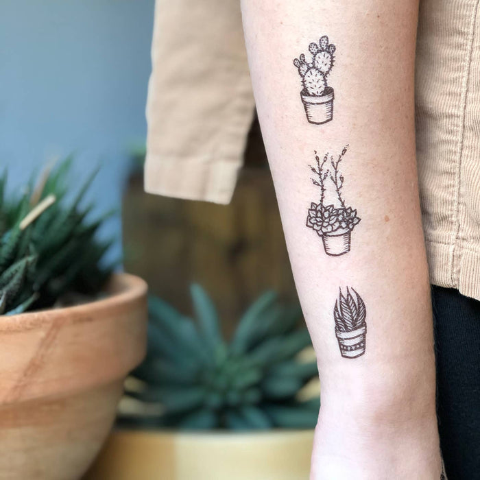 Forearm with three small potted plant tattoos including cacti and succulents