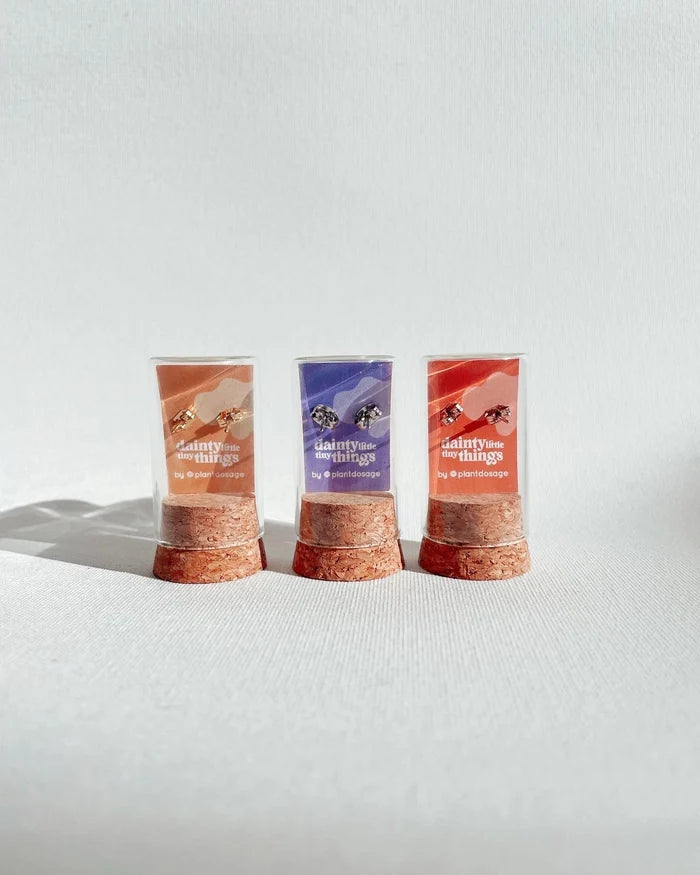 Three tiny mushroom earrings displayed in clear capsules with cork bases and colorful backdrops.