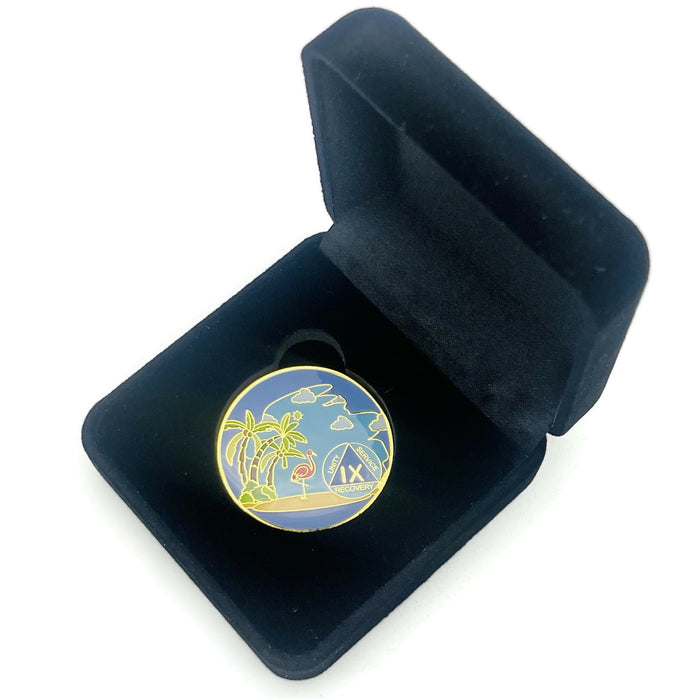 9 Year Beach Themed Specialty Tri-Plated AA Recovery Medallion - Nine Year Chip/Coin + Velvet Case