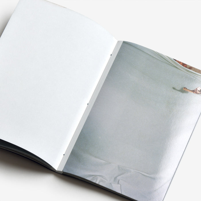Ana Paes: Origin or when the tide goes out