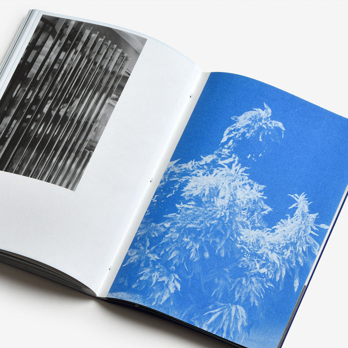 Ana Paes: Origin or when the tide goes out