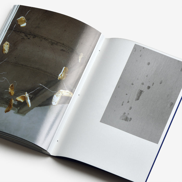 Ana Paes: Origin or when the tide goes out
