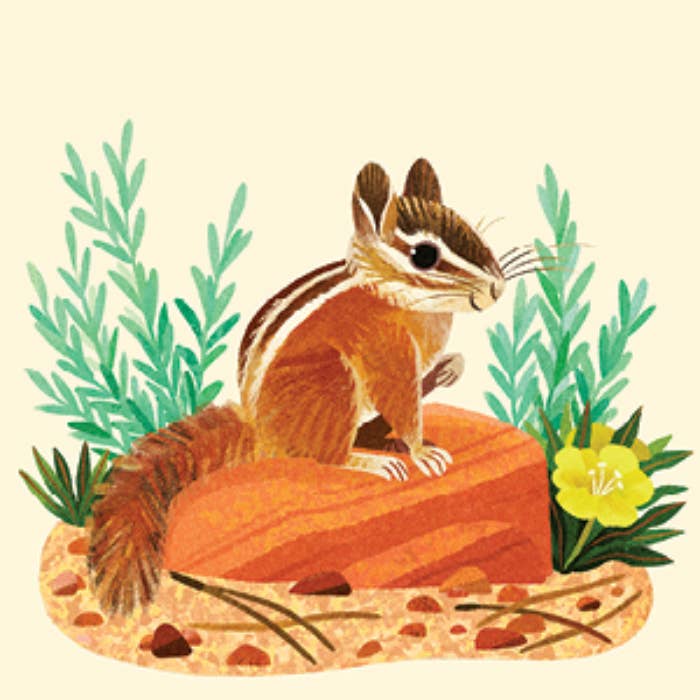 Chipmunk perched on an orange rock surrounded by plants and a yellow flower.