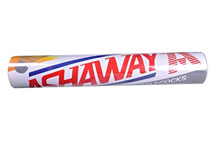 Ashaway Shuttlecock - SILVER - Arcade Sports