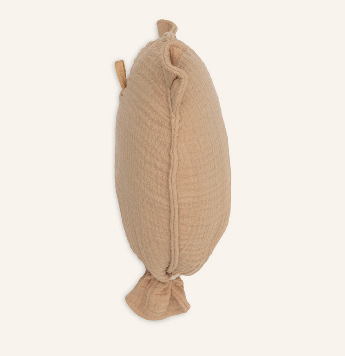 Ballon Teddy Bear | Biscuit