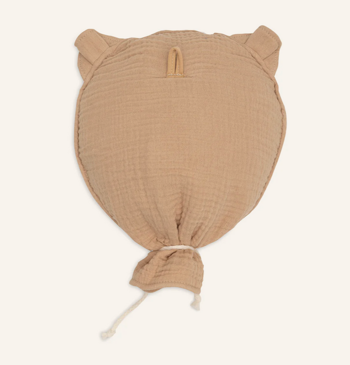 Ballon Teddy Bear | Biscuit