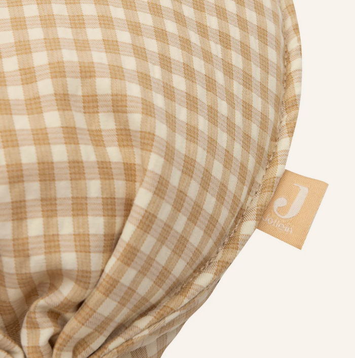 Ballon Teddy Bear | Vichy