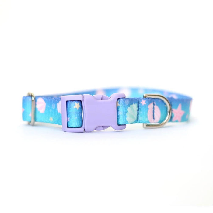 Beach Babe Dog Collar - Clive and Bacon