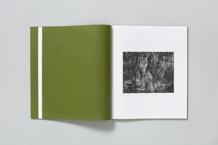 Blood Green - Curran Hatleberg
