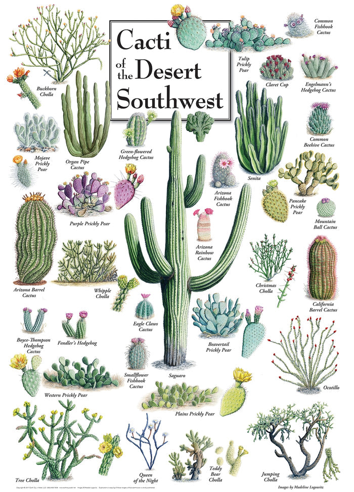 Full puzzle illustration showing diverse desert cacti arranged around a central title frame.