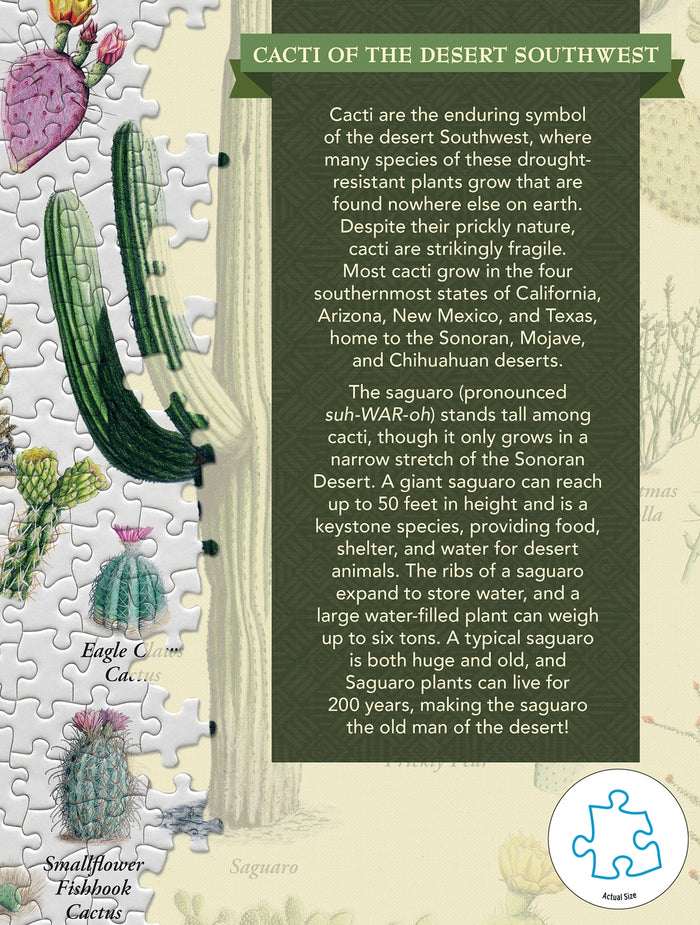 Close up of the puzzle poster with a CACTI OF THE DESERT SOUTHWEST banner and a green text panel.
