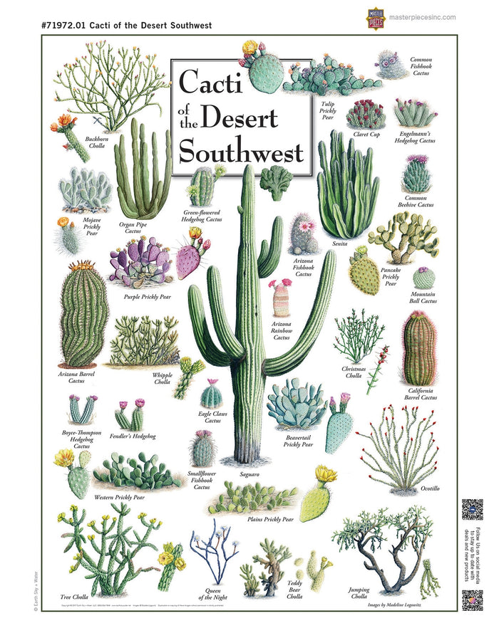 Colorful illustrated collage of desert cacti with labeled names surrounding the central title Cacti of the Desert Southwest on a 1000 piece puzzle.