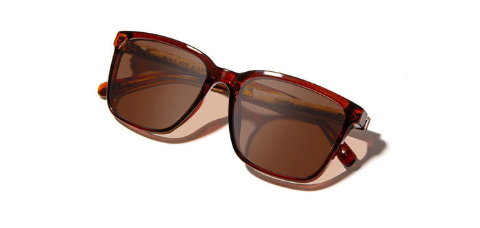 Arches Edition CAMP Crag sunglasses with translucent amber frame and brown lenses on a white background