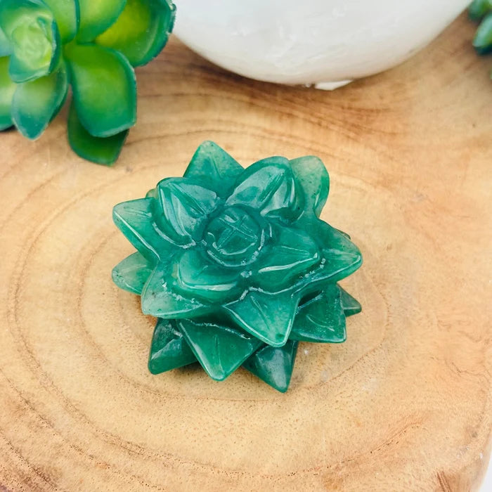 Teal crystal succulent with layered leaves on a wooden surface.