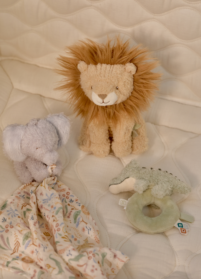 Coffret naissance | Safari Friends