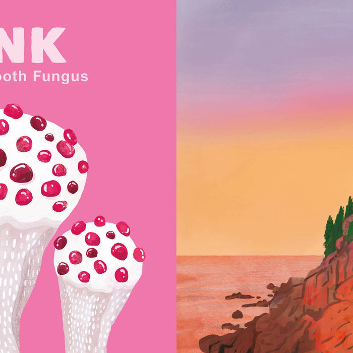 Colors of the National Parks board book cover with a pink panel of ice cream scoops on the left and a sunset coast on the right.