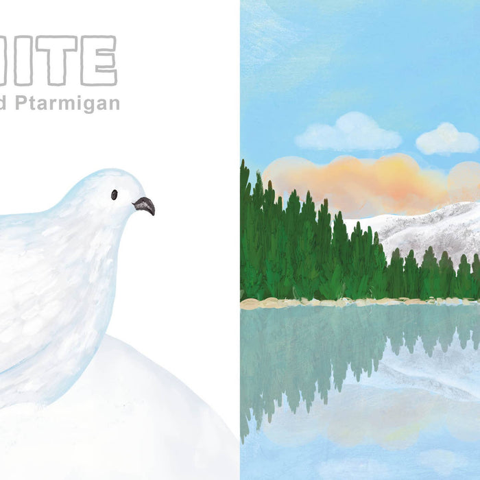 Left panel of Colors of the National Parks board book cover featuring a pale blue white dove on a white background.