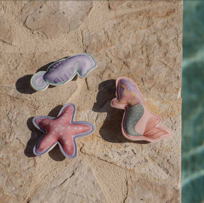 Compagnons de plongée | Dreamy Mermaid