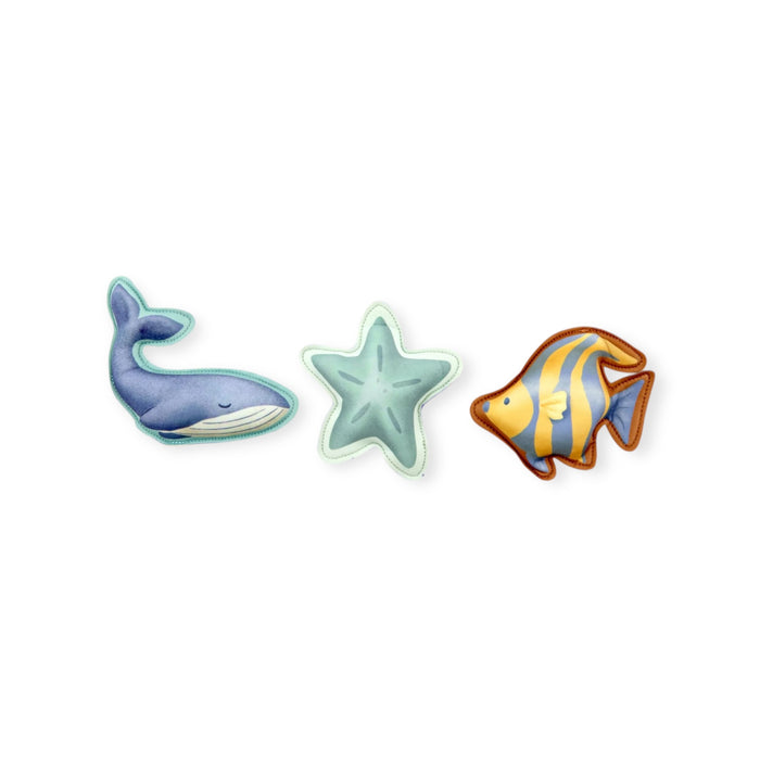 Compagnons de plongée | Ocean World