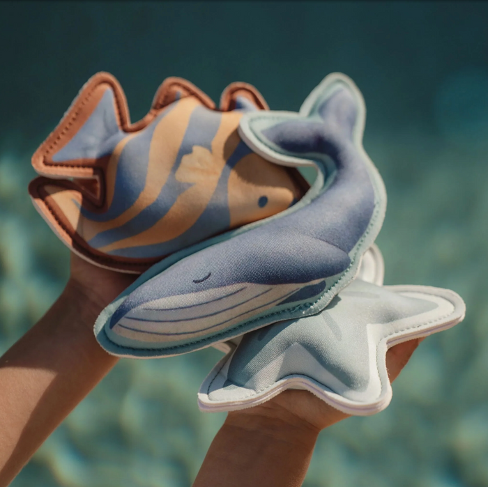 Compagnons de plongée | Ocean World