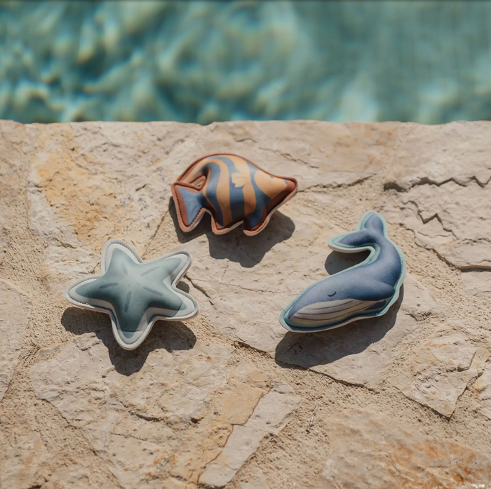 Compagnons de plongée | Ocean World