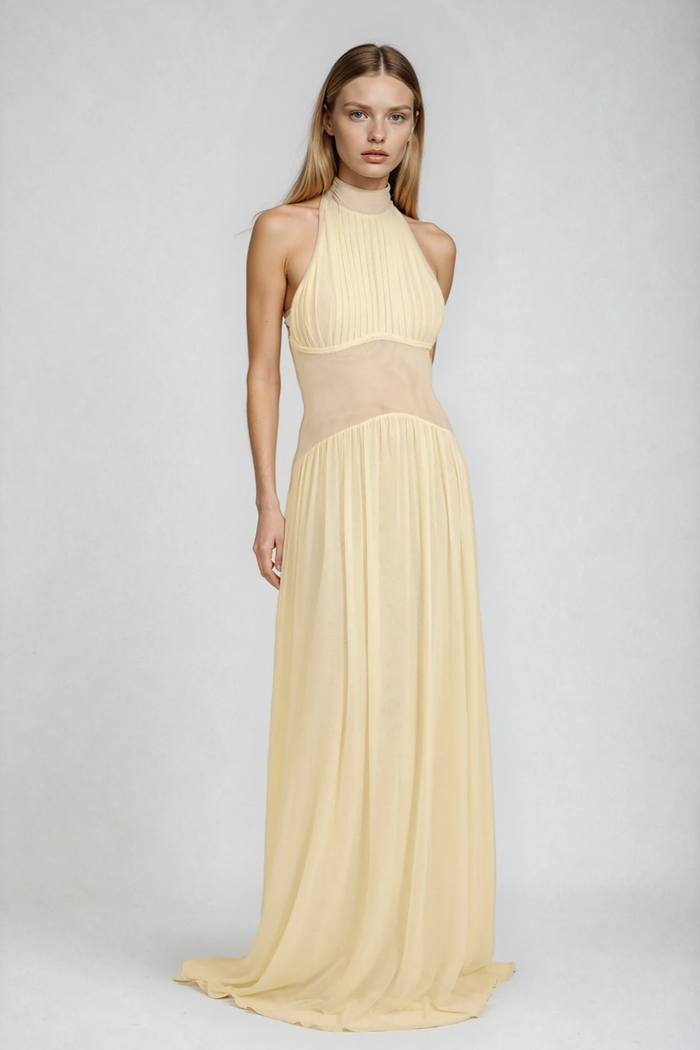 Dzidris Halter Neck Ruch Mesh Maxi Dress