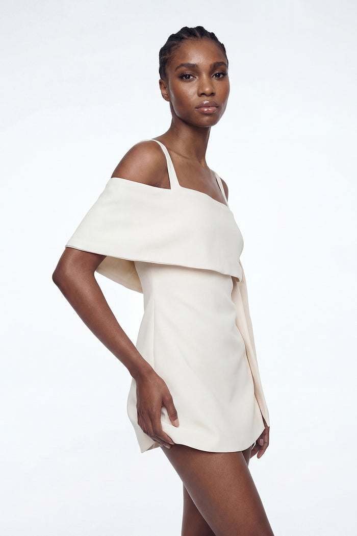 Elisei Asymmetric Mini Dress