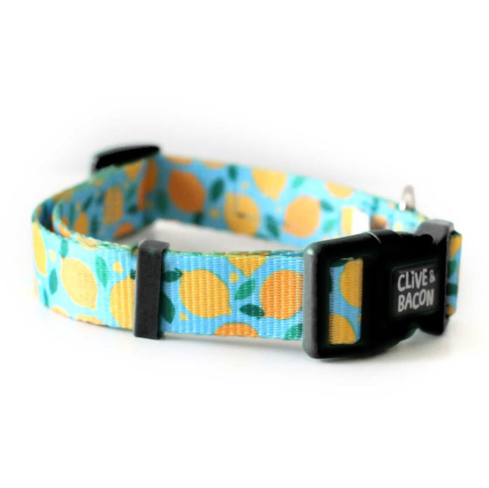 Lemon Squeeze / Small (12" - 15" length)