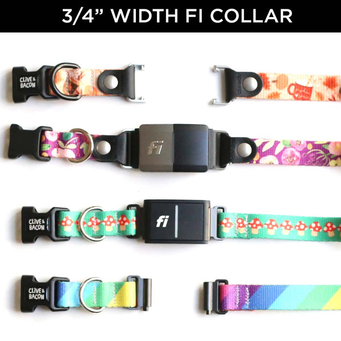 Thin & Sleek Fi Compatible Dog Collar - Clive and Bacon