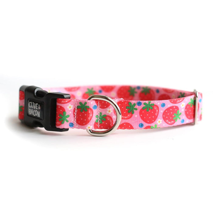Strawberries Pink / X-Small (10-11" length)