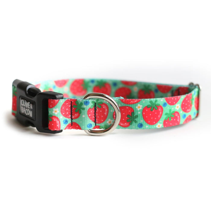 Strawberries Green / X-Small (10-11" length)