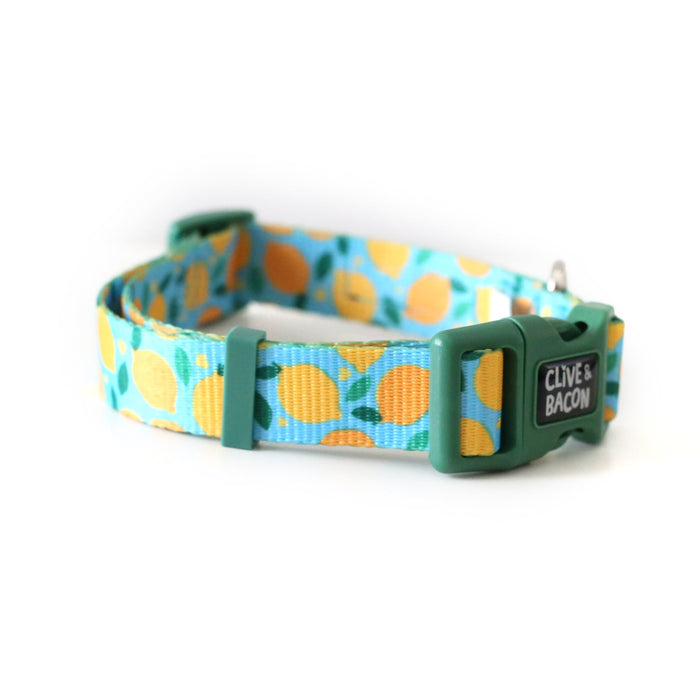 Lemon Squeeze / X-Small (10-11" length)