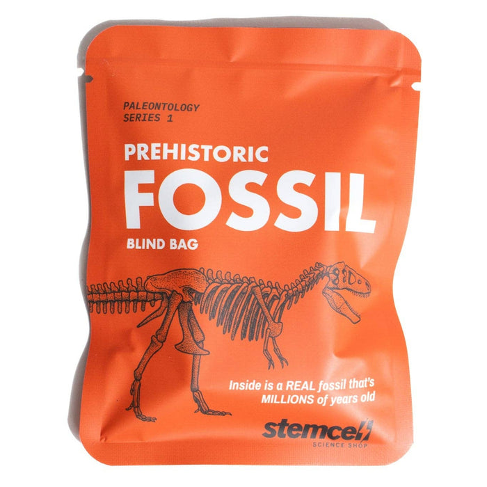 Paleontology fossil blind bag in bright orange with a dinosaur skeleton illustration