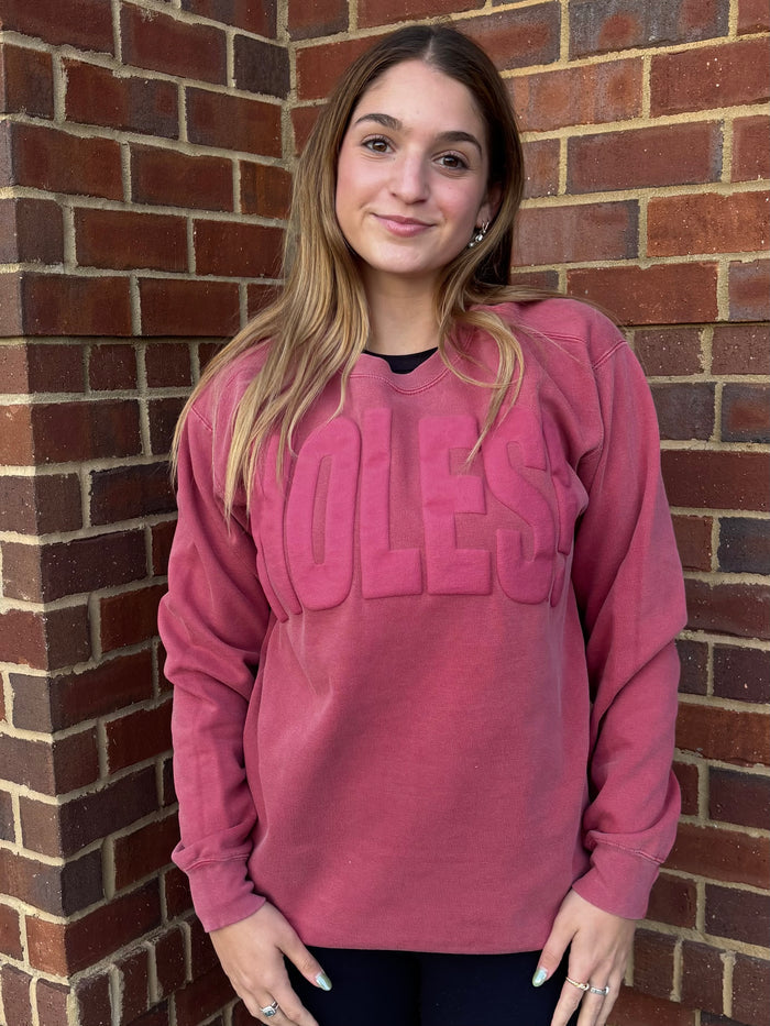 FSU Puff Ink NOLES Sweatshirt