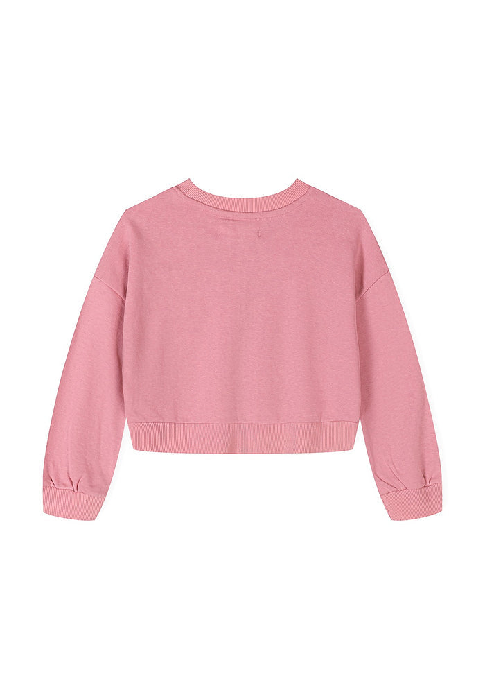 A dusty pink cropped sweatshirt with long sleeves and a crew neck, shown from the back on a plain white background.