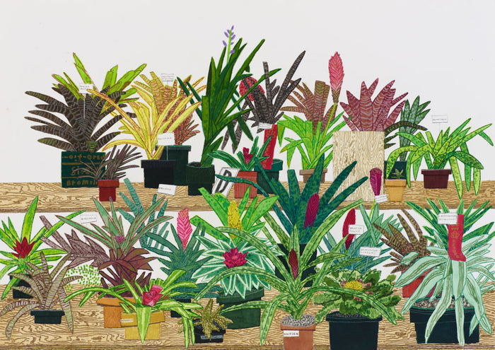 Jonas Wood: Drawings