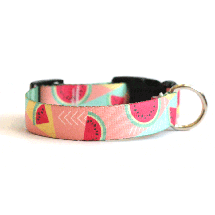 Juicy Watermelon Dog Collar - Clive and Bacon