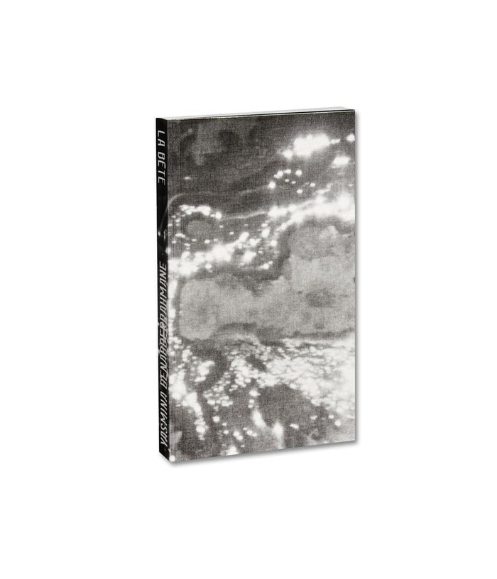 La Bête A Modern Tale - Yasmina Benabderrahmane *Signed