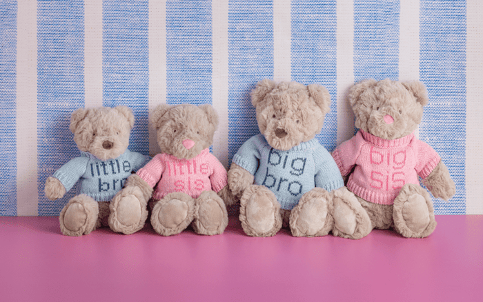 Little Sister Plush Bear - Wee Bee Baby Boutique
