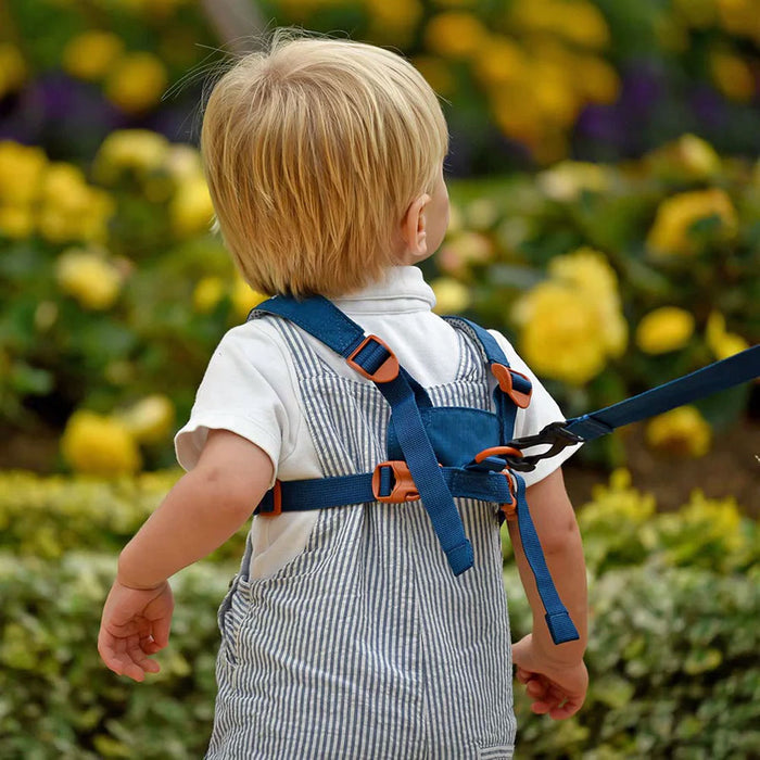 Lifestyle shot outdoors of a toddler wearing a Littlelife dinosaur toddler safety reins with the reverse connection detail showing