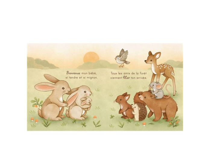 Livre | Bienvenue mon bébé