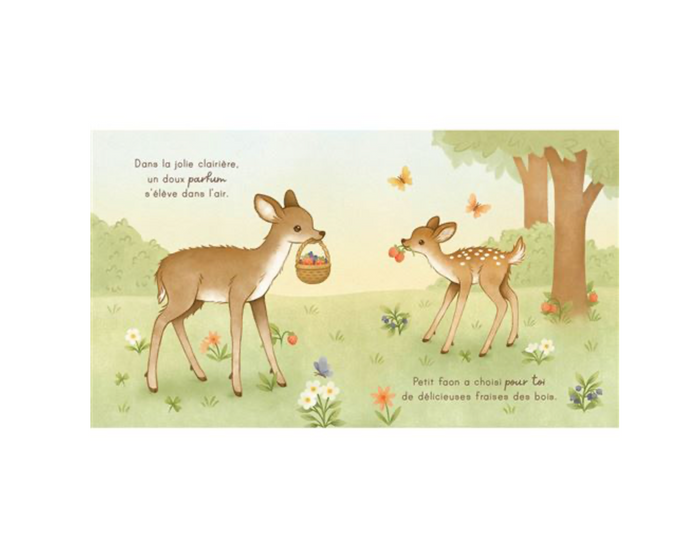 Livre | Bienvenue mon bébé