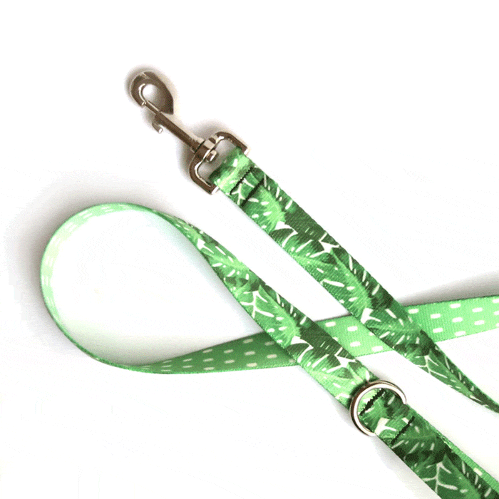 Monstera Magic Dog Leash - Clive and Bacon