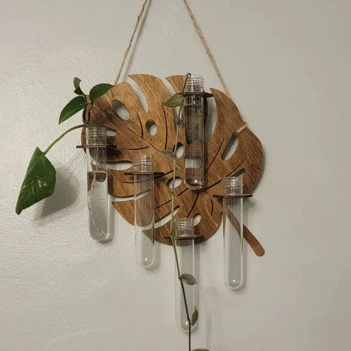 Wooden monstera leaf propagation station with glass tubes for plant cuttings