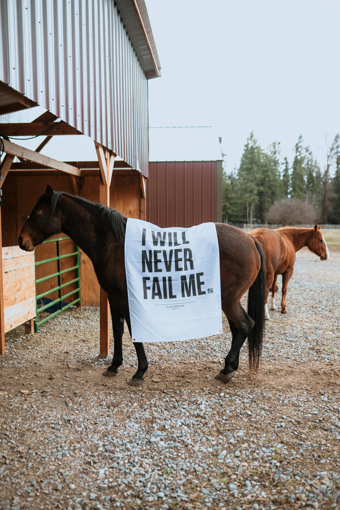 NEVER FAIL FLAG