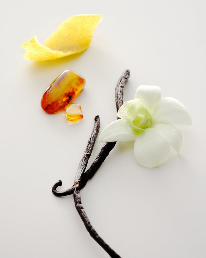 Vanilla bean, white orchid, amber stone, and yellow leaf on a light background
