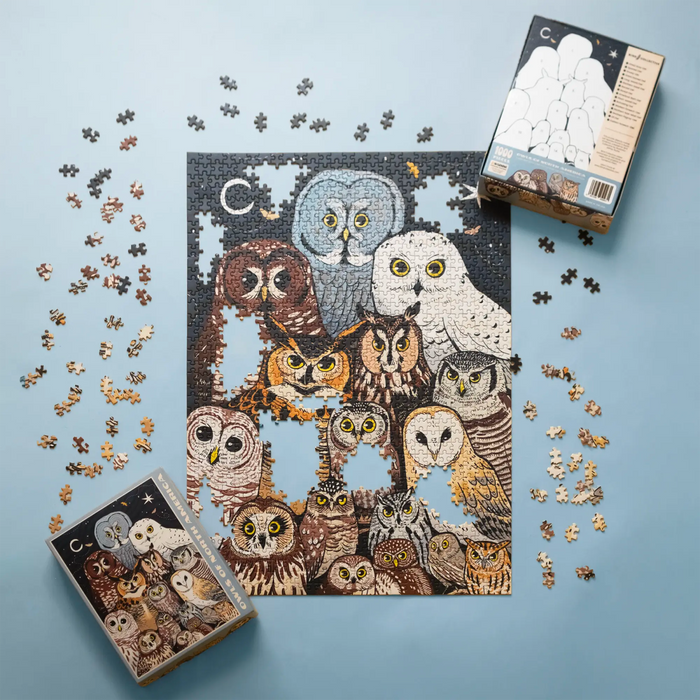 Almost finished owl collage puzzle laid out on a blue surface with the puzzle box nearby